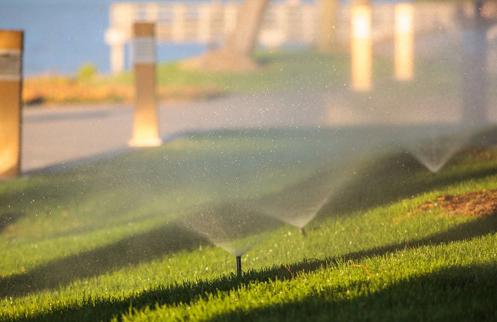 A pop-up sprinkler head spraying water across a suburban lawn in fall